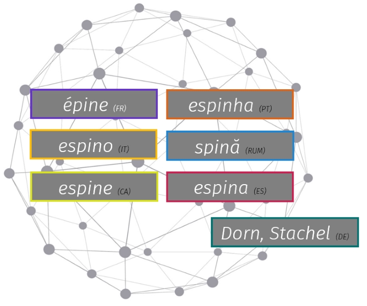 Grafik